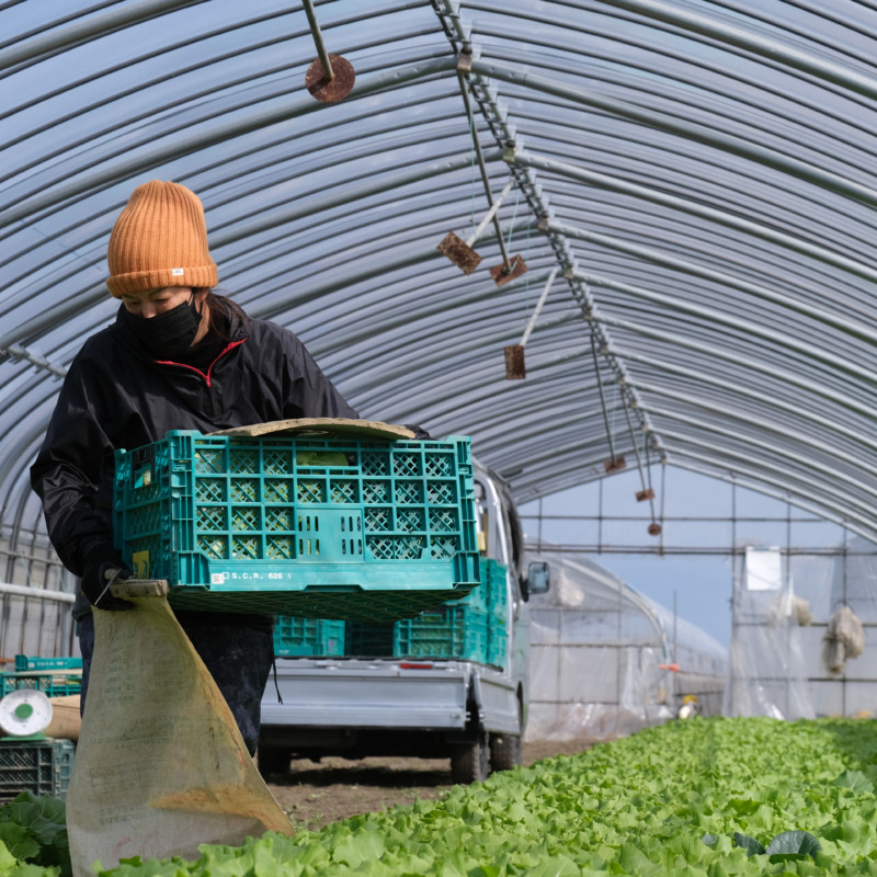 滋賀県・農業「横江ファーム」イメージ03